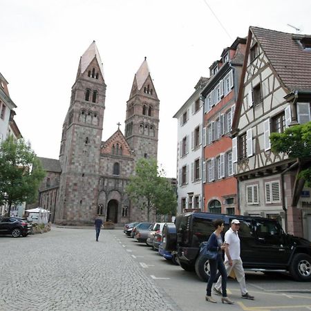 Gite Le Colombier Selestat - 30Min Europapark 외부 사진